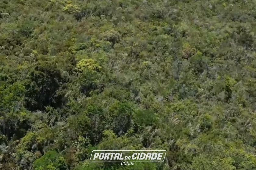 Fazenda &agrave; venda - 1513000m&sup2; - Mangabeira