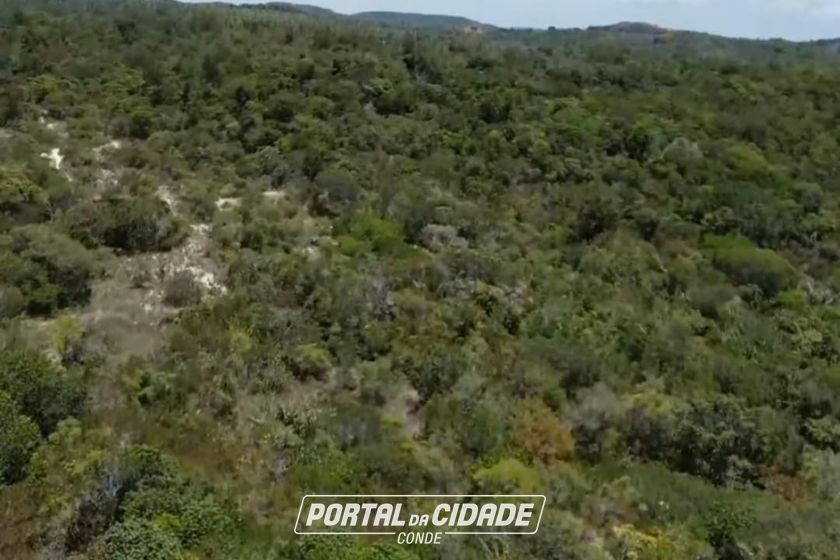 Fazenda &agrave; venda - 1513000m&sup2; - Mangabeira