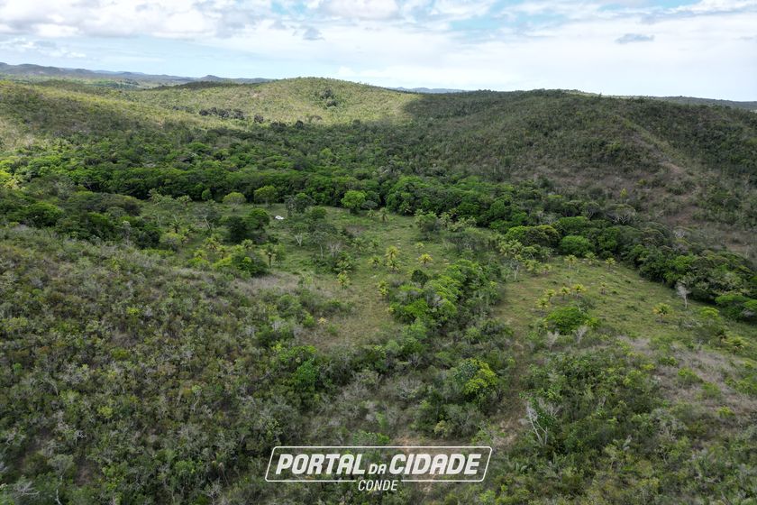 Fazenda &agrave; venda - 1582335m&sup2; - Rodovia