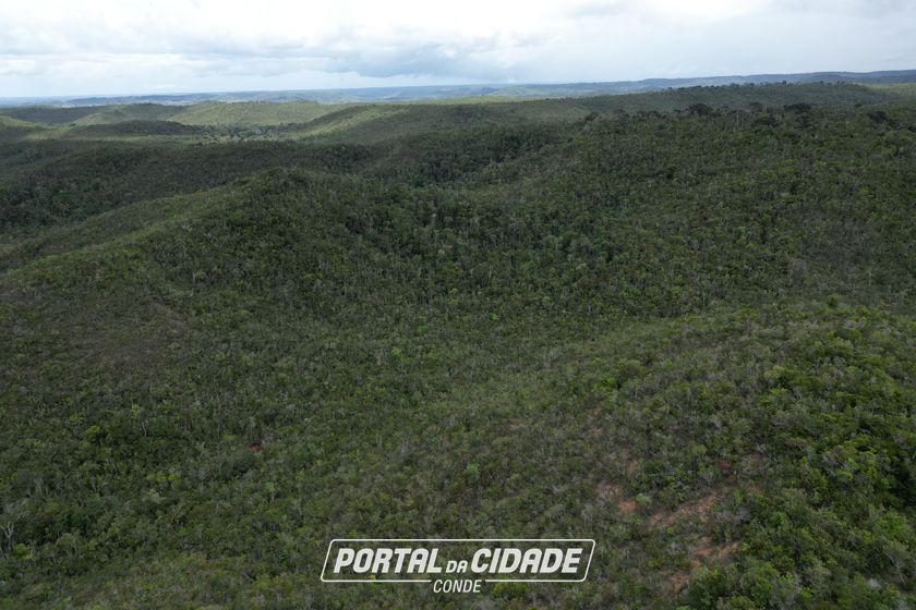 Fazenda &agrave; venda - 1582335m&sup2; - Rodovia