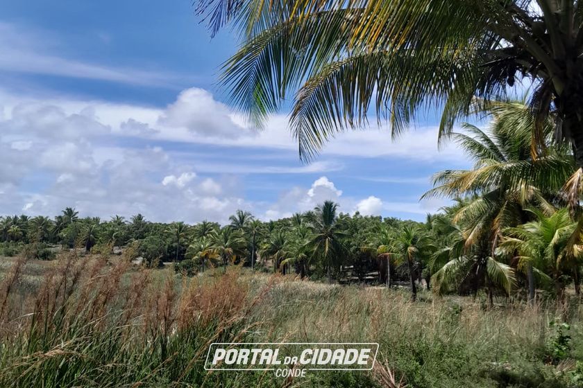 Fazenda &agrave; venda - 47m&sup2; - Centro