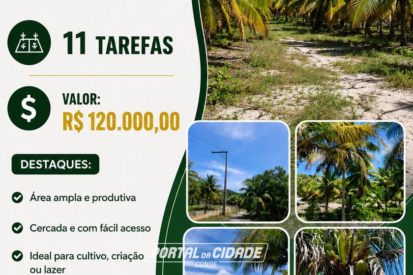 Fazenda &agrave; venda - 47m&sup2; - Centro