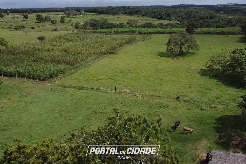 Fazenda &agrave; venda - 86684m&sup2; - Afligidos