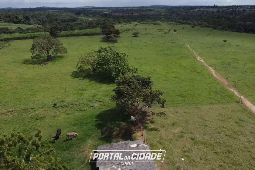 Fazenda &agrave; venda - 86684m&sup2; - Afligidos