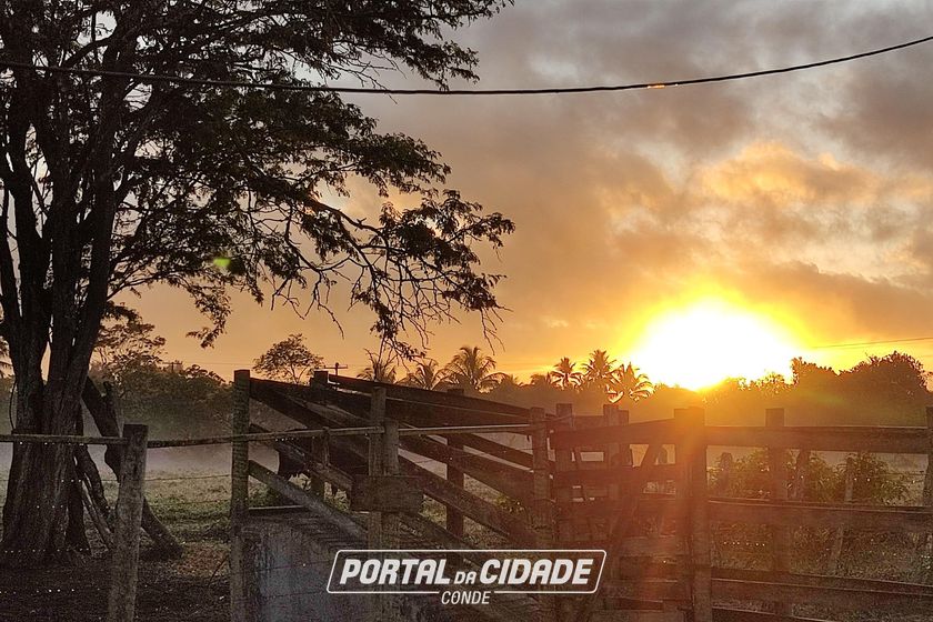 Fazenda &agrave; venda - 86684m&sup2; - Afligidos