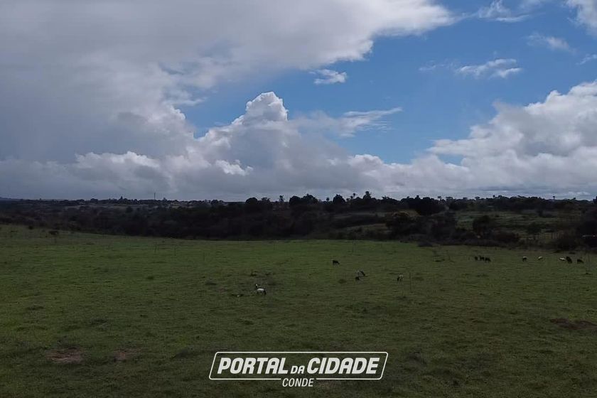 Fazenda &agrave; venda - 86684m&sup2; - Afligidos