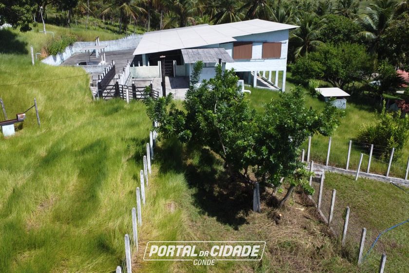 Ch&aacute;cara &agrave; venda - 141217m&sup2; - Riacho Seco