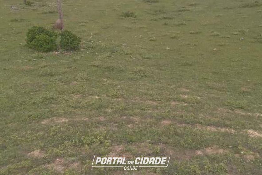 Terreno &agrave; venda - 3161107m&sup2; - Coqueiro