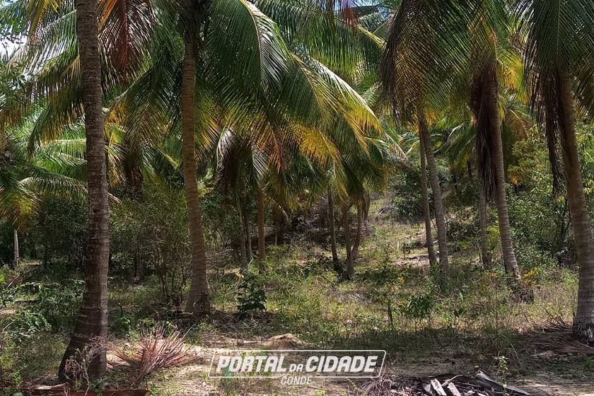 Ch&aacute;cara &agrave; venda - 60m&sup2; - Riacho Seco