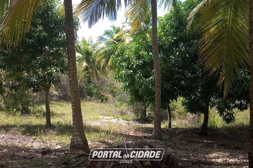 Ch&aacute;cara &agrave; venda - 60m&sup2; - Riacho Seco