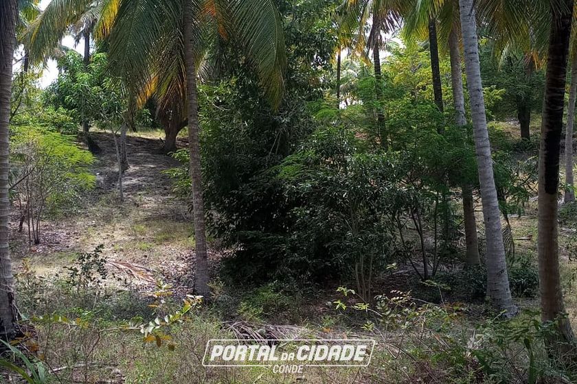 Ch&aacute;cara &agrave; venda - 60m&sup2; - Riacho Seco
