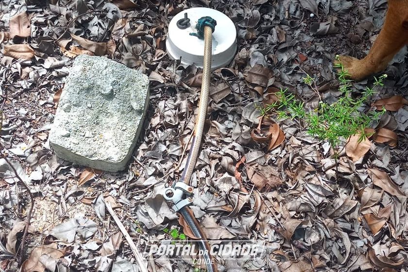 Ch&aacute;cara &agrave; venda - 60m&sup2; - Riacho Seco