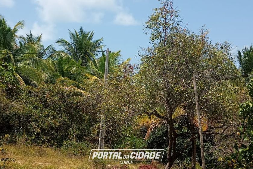 Ch&aacute;cara &agrave; venda - 60m&sup2; - Riacho Seco