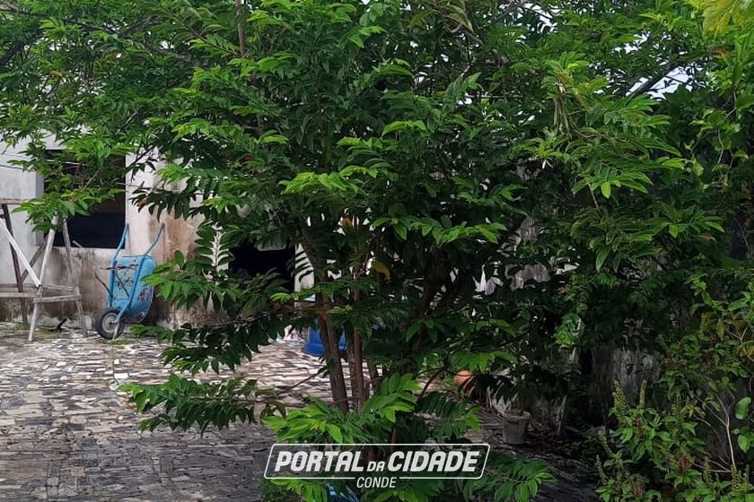 Casa &agrave; venda - 300m&sup2; - Centro