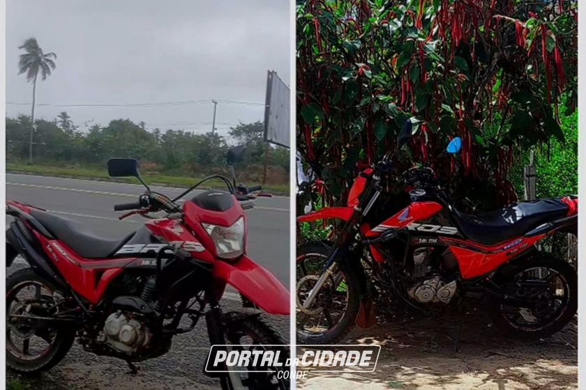 HONDA NXR