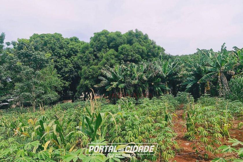 Terreno &agrave; venda - 513m&sup2; - Beverly Falls Park