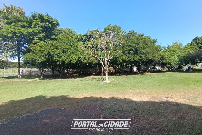 Ch&aacute;cara &agrave; venda - 150m&sup2; - Mata Verde