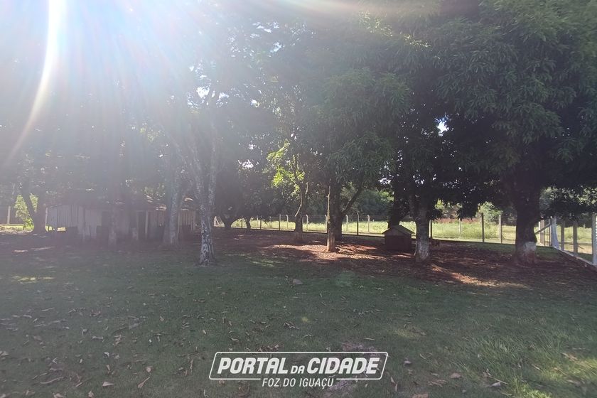 Ch&aacute;cara &agrave; venda - 150m&sup2; - Mata Verde