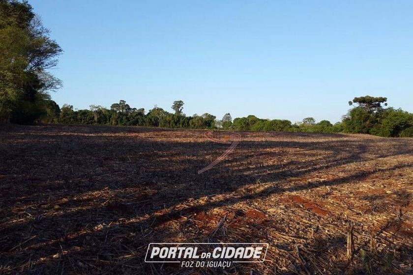 Terreno &agrave; venda - 20000m&sup2; - Im&oacute;vel Cataratas - Gleba II