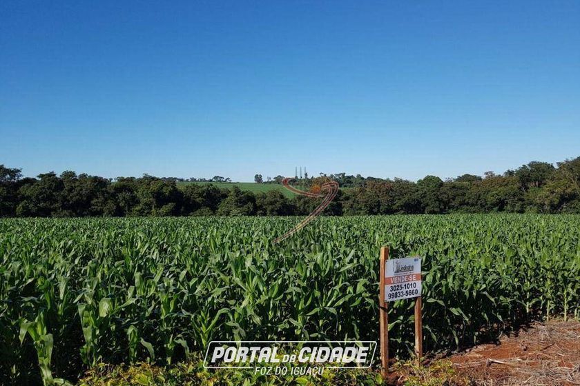 Terreno &agrave; venda - 10649m&sup2; - Cogn&oacute;polis