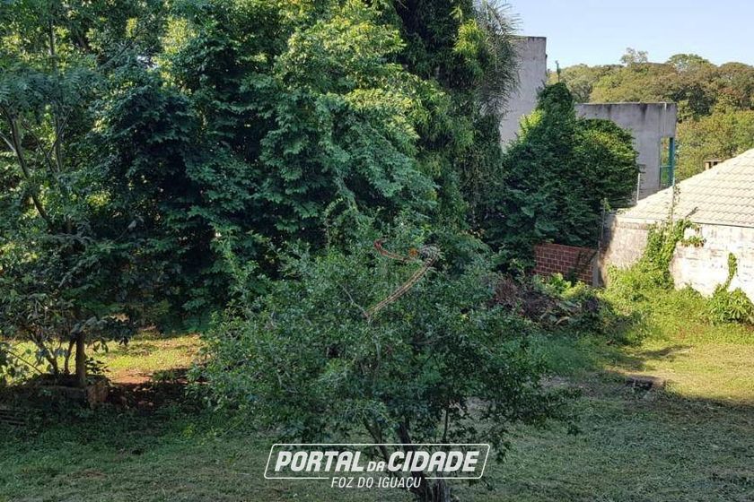 Terreno &agrave; venda - 1000m&sup2; - Centro