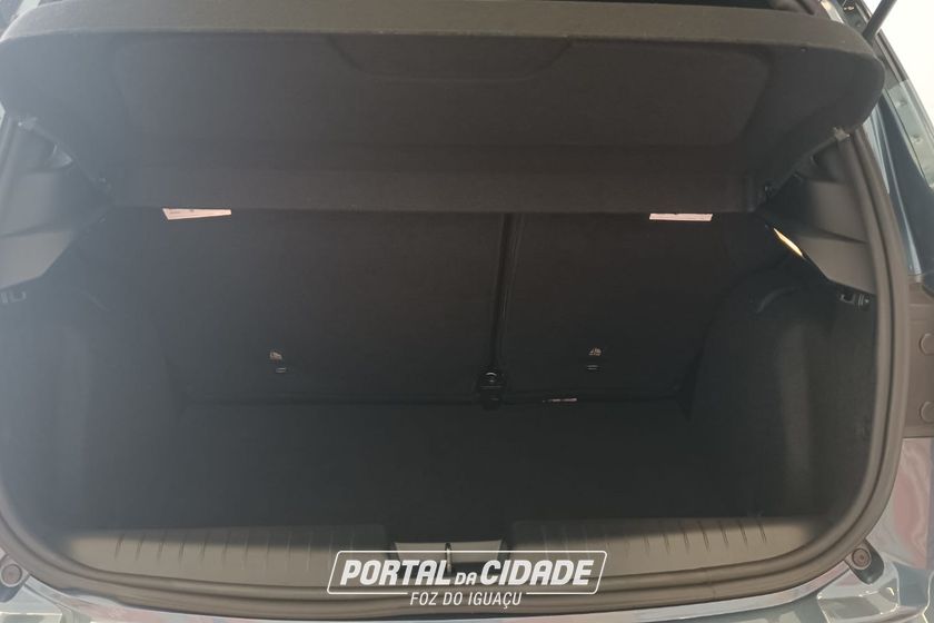 Fiat PULSE