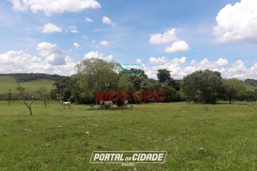 S&iacute;tio &agrave; venda - 48400m&sup2; - Centro