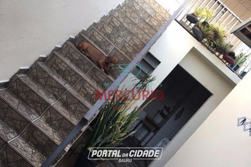 Casa &agrave; venda - 223m&sup2; - Alto Higien&oacute;polis