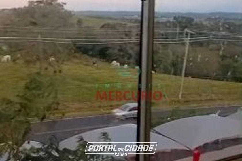 Apartamento &agrave; venda - 47m&sup2; - Jardim Ouro Verde