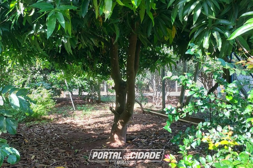 Ch&aacute;cara &agrave; venda - 600m&sup2; - Corrego do lim&atilde;o 