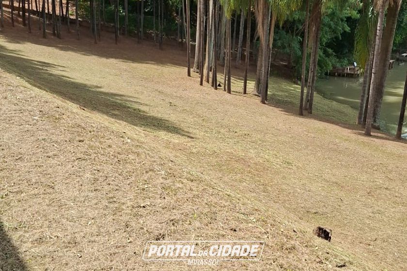 S&iacute;tio &agrave; venda - 200m&sup2; - Centro