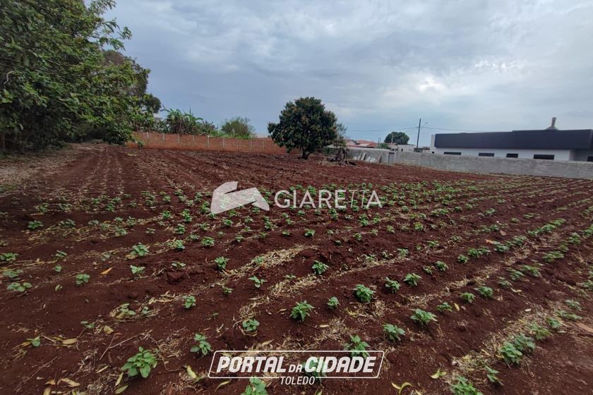 Terreno &agrave; venda - 800m&sup2; - BOM PRINC&Iacute;PIO