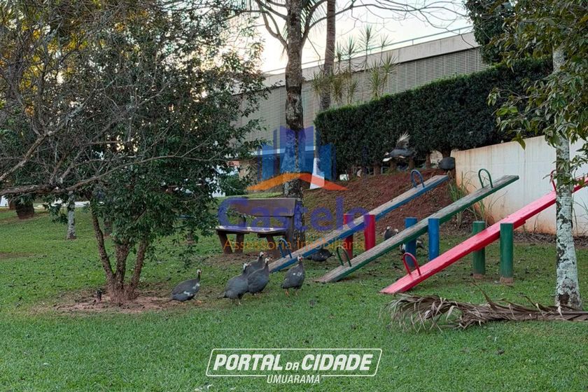 Terreno &agrave; venda - 892m&sup2; - SOLEIL RESIDENCE