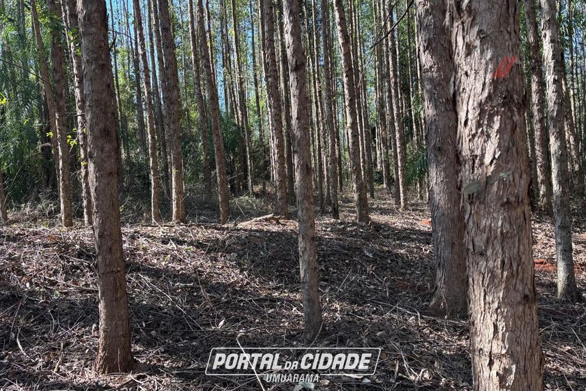 Fazenda &agrave; venda - 52598m&sup2; - Zona Rural