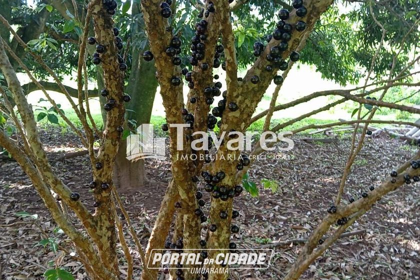 Ch&aacute;cara &agrave; venda - 5341m&sup2; - Jardim Aeroporto