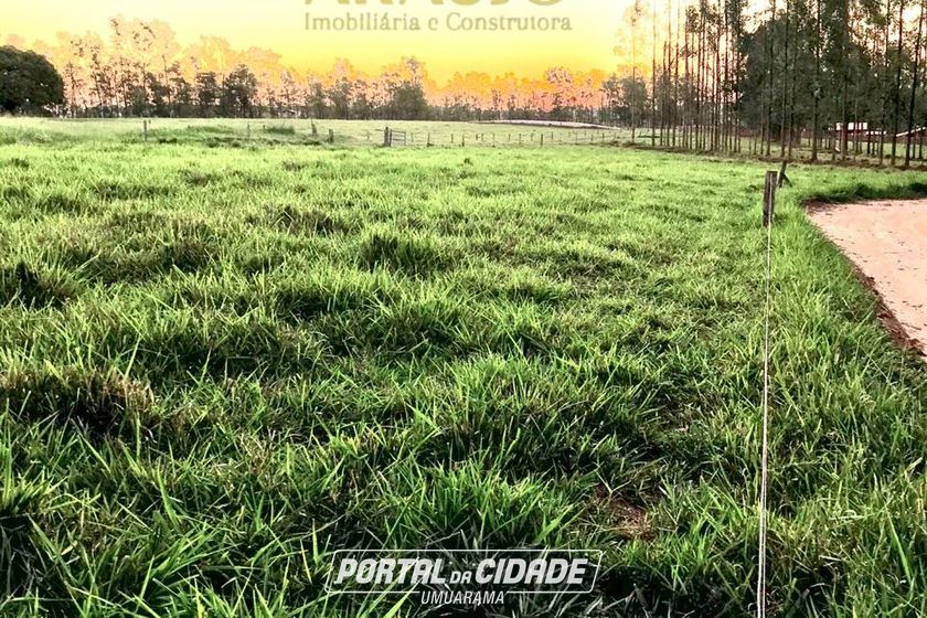 Ch&aacute;cara &agrave; venda - 20000m&sup2; - Estrada  Jaborandi