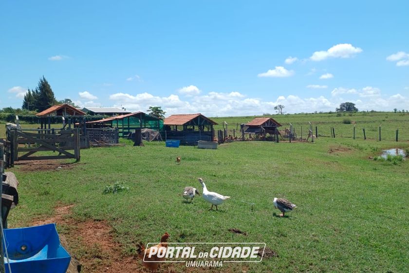 Ch&aacute;cara &agrave; venda - 20m&sup2; - Estrada Jaborandi