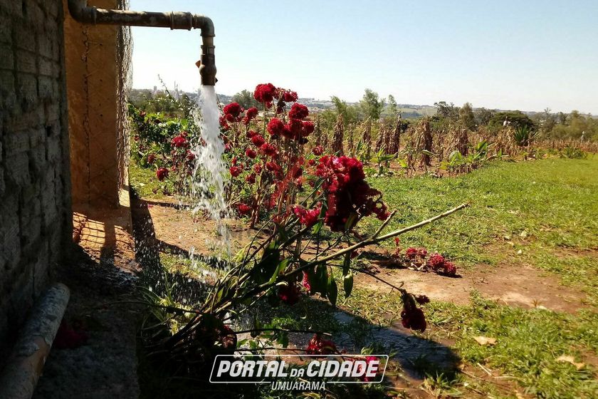 Ch&aacute;cara &agrave; venda - 20000m&sup2; - Jardim Aeroporto