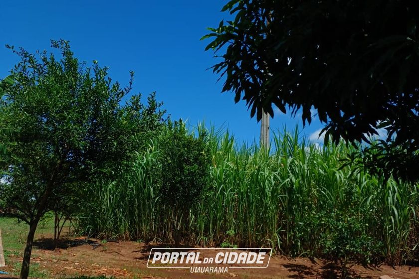 Ch&aacute;cara &agrave; venda - 20m&sup2; - Estrada Jaborandi