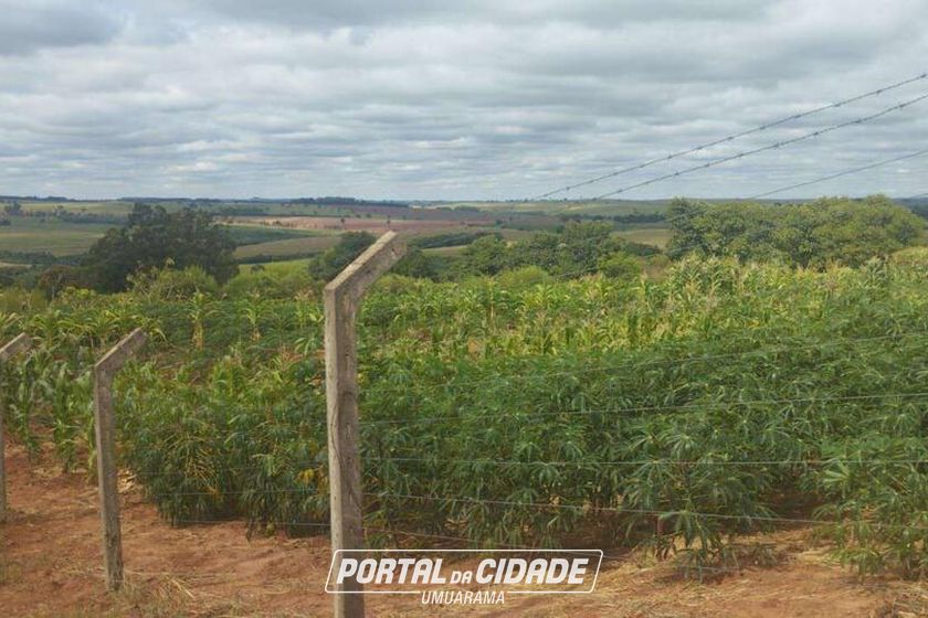 Ch&aacute;cara &agrave; venda - 5m&sup2; - Rodovia PR-489