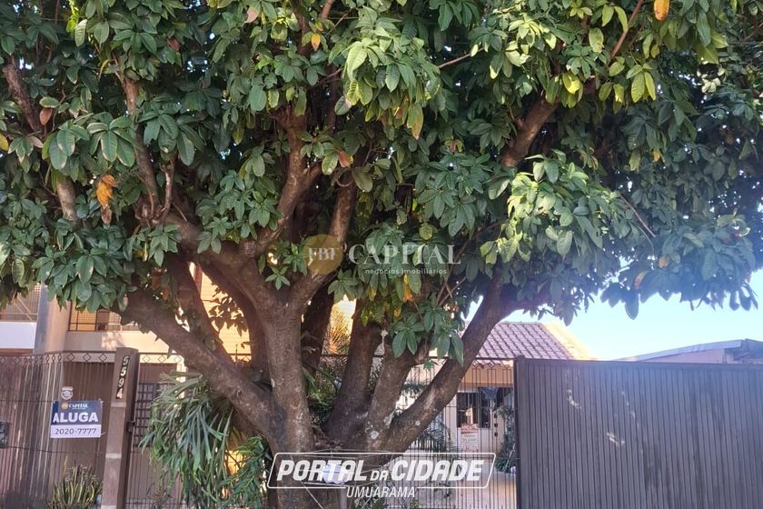 Sobrado para alugar - 197m&sup2; - Zona Armazem