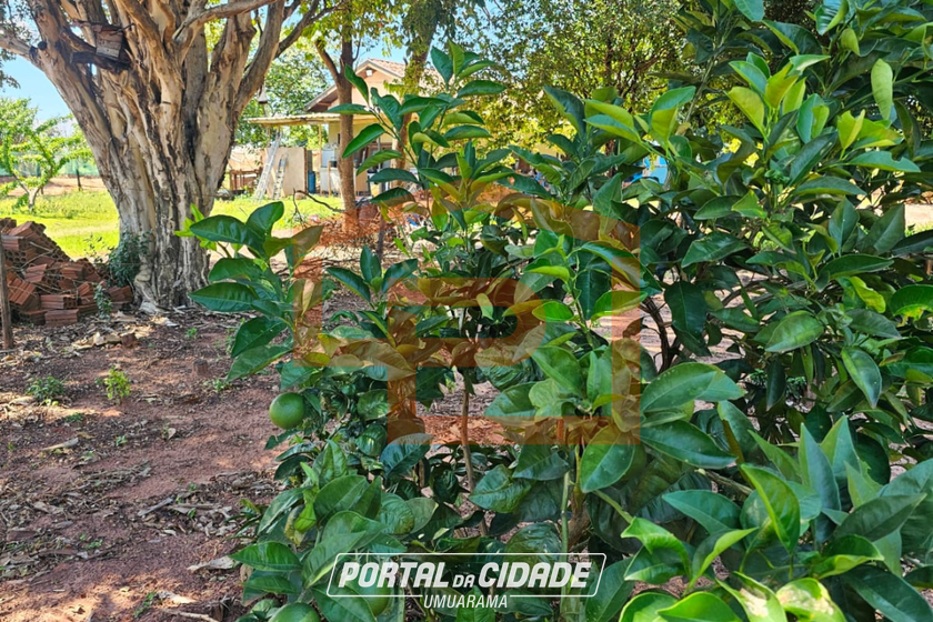 Ch&aacute;cara &agrave; venda - 21000m&sup2; - Zona Rural