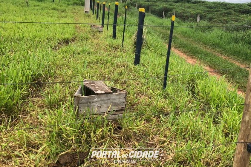 Ch&aacute;cara &agrave; venda - 20m&sup2; - Maria Helena