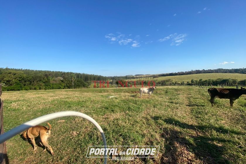 Terreno &agrave; venda - 20000m&sup2; - PARQUE LAGO AZUL