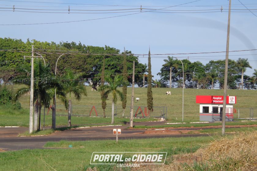 Terreno &agrave; venda - 155m&sup2; - Parque Metropolitano