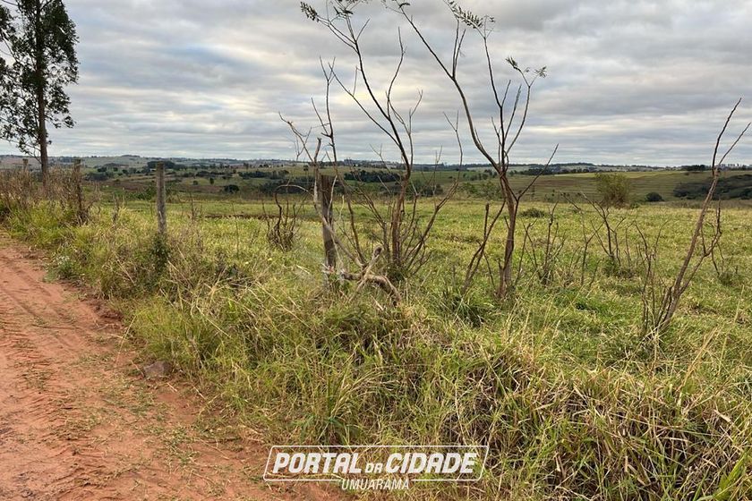 Terreno &agrave; venda - 121m&sup2; - Alto Piquiri