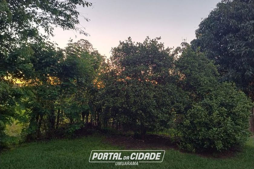 Ch&aacute;cara &agrave; venda - 6400m&sup2; - FUNDOS DO JARDIM PAC&Iacute;FICO