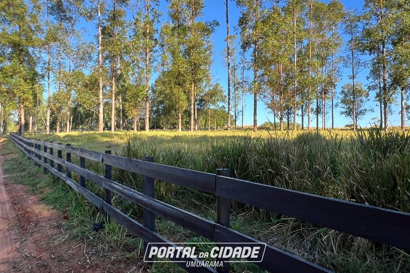 Ch&aacute;cara &agrave; venda - 20000m&sup2; - Estrada  Jaborandi