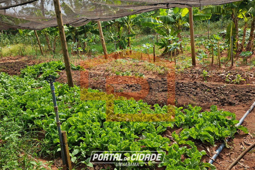 Ch&aacute;cara &agrave; venda - 21000m&sup2; - Zona Rural