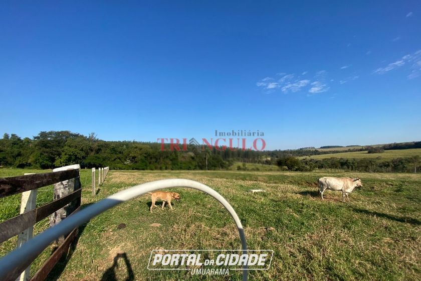 Terreno &agrave; venda - 20000m&sup2; - PARQUE LAGO AZUL